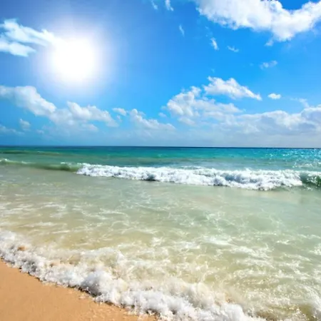 Anita B16 Sunny Slăntjev Brjag