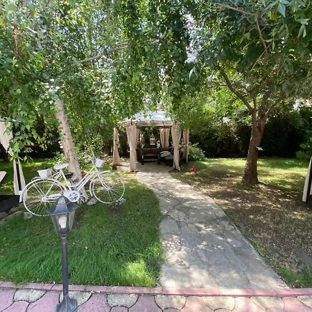 Anita B16 Sunny Apartamento *